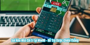 Soi Kèo Nhà Cái 5 Tại WW88 - Hỗ Trợ Cược Chiến Thắng Soi Kèo Nhà Cái 5 Tại WW88 - Hỗ Trợ Cược Chiến Thắng