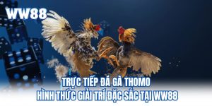 Trực Tiếp Đá Gà Thomo Hình Thức Giải Trí Đặc Sắc Tại WW88 Trực Tiếp Đá Gà Thomo Hình Thức Giải Trí Đặc Sắc Tại WW88